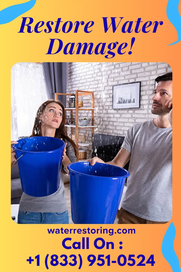 water restoration Reliable Flood Solutions Thompson