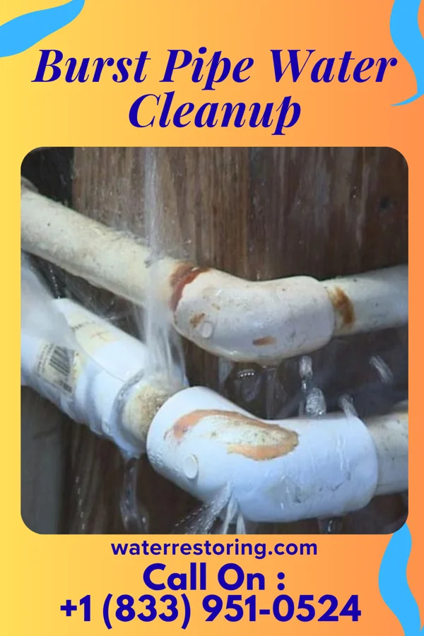 Burst Pipe Water Cleanup in Thompson, PA