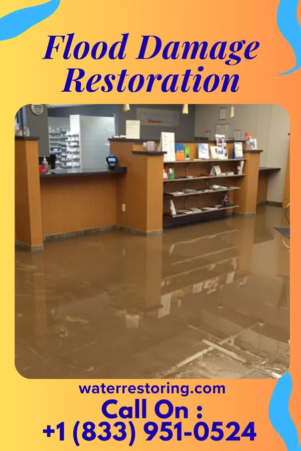 Flood Damage Restoration in Thompson, PA