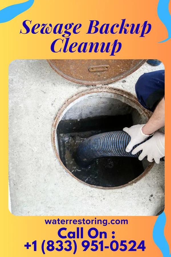 Sewage Backup Cleanup in Thompson, PA